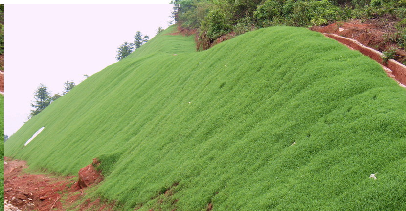 江西·鹰潭至瑞金高速公路建设项目绿化景观工程