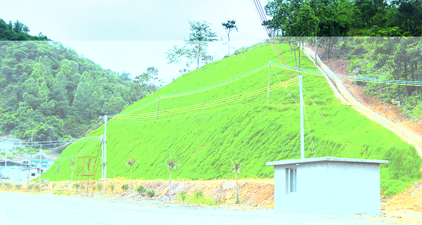 广东·阳江至云浮高速公路阳江至阳春段绿化工程