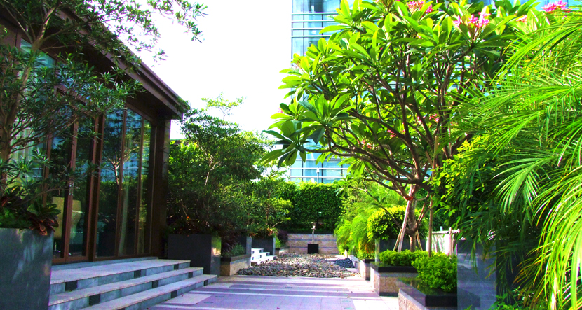 深圳·星河发展中心景观工程