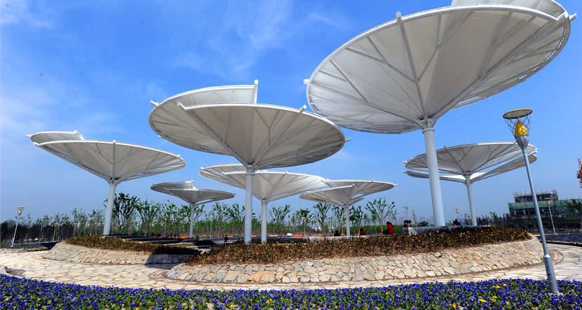 汉花缘•花样年华